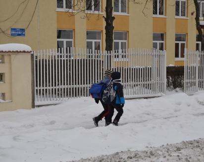 Zeci de şcoli din Bihor, închise din pricina viscolului şi a ninsorii